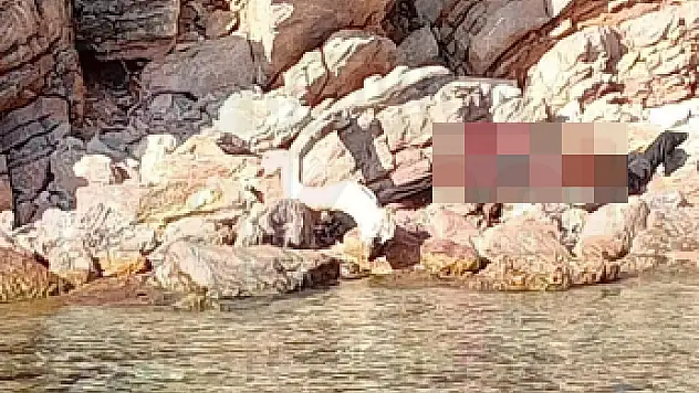 Karaada'da Bir Ceset Bulundu