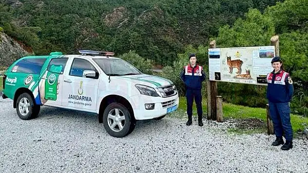 'Karakulak' Türü Hakkında Bilgilendirme Yapıldı