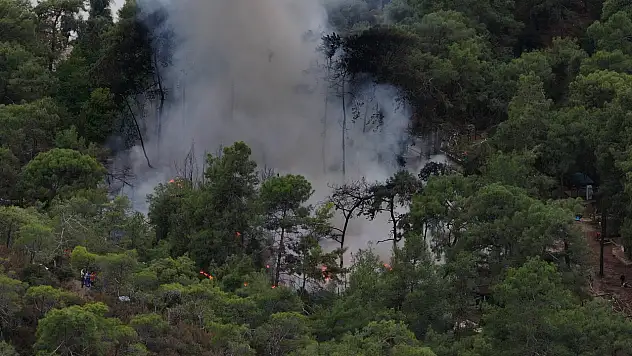 Karavanda çıkan yangın ormana sıçradı