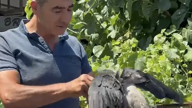 Karga Şero Sanayi Sitesi'nin Maskotu Oldu