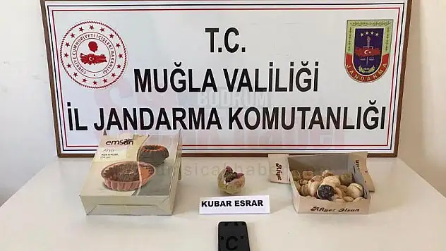 Kargo ile Uyuşturucu Temin Eden Kişi Yakalandı