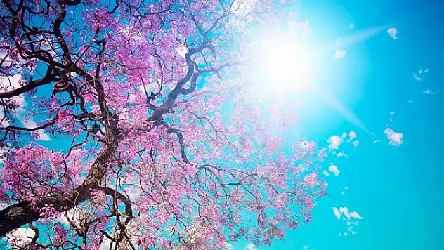 Karlı günler sona eriyor, beklenen yaz geliyor