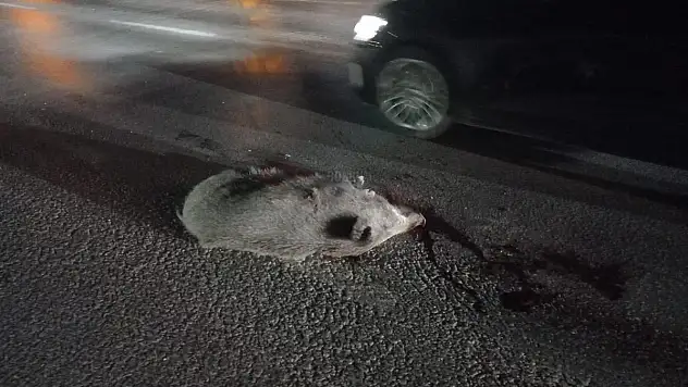 Karşıdan Karşıya Geçmek İsterken Öldü