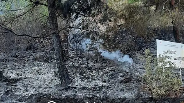 Kayalıklara çarpan araçta çıkan yangın, ormanlık alana sıçradı