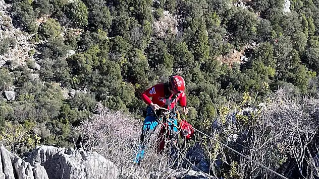 Kayalıklarda Mahsur Kalan Keçileri AKUT Kurtardı