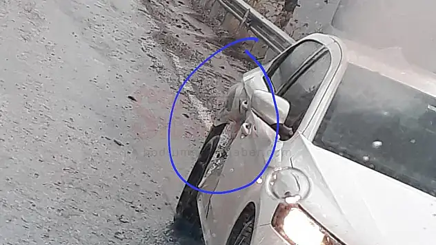 Kayanın Altında Kalmaktan Son Anda Kurtuldular