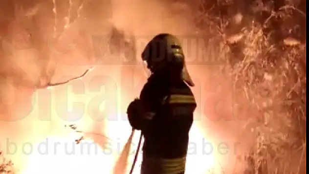 Kaza Yapan Araçta Yanarak Can Verdi