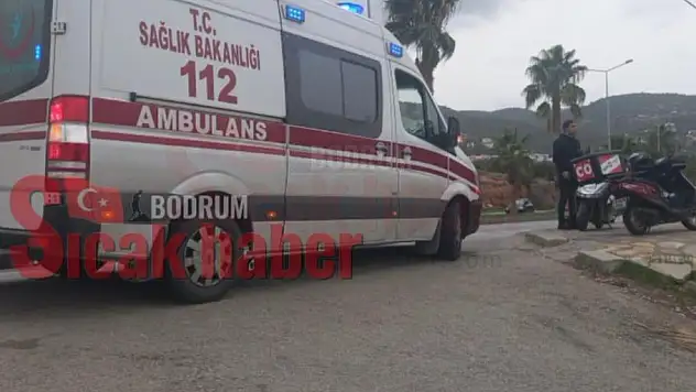 Kediye Çarpmamak İçin Canından Oluyordu