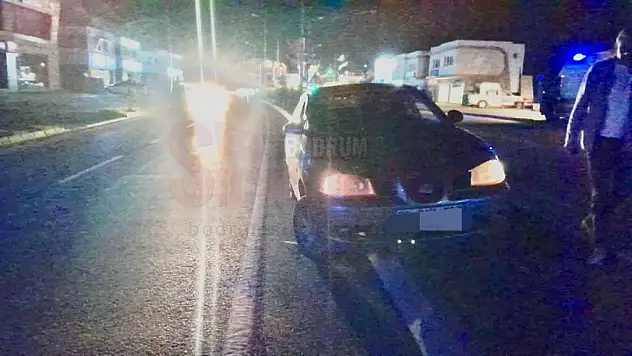 Kediye Çarpmamak Pahasına Kaza Yaptı