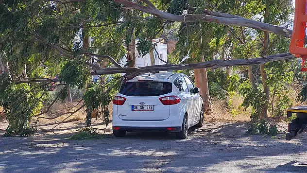 Kırılan Dal Otomobilin Üzerine Devrildi