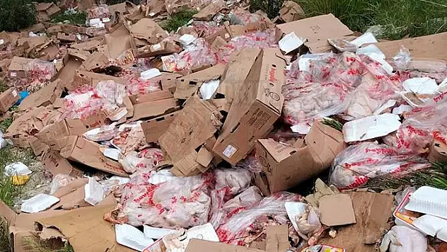 Kolilerce Tavuğu Ormana Döküp Gitmişler