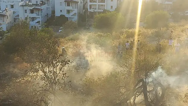 Konacık'da Çıkan Yangın Kısa Sürede Kontrol Altına Alındı