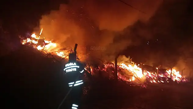 Konacık'ta Çıkan Yangın Korku Ve Paniğe Sebep Oldu