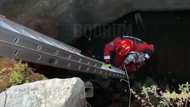 Konacık'ta Kuyuya Düşen Köpek Kurtarıldı