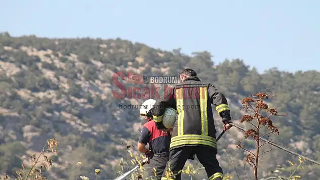 Konacık'ta panik yaratan yangın