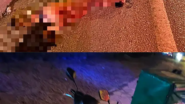 Köpeğe çarpan motosiklet sürücüsü yaralandı