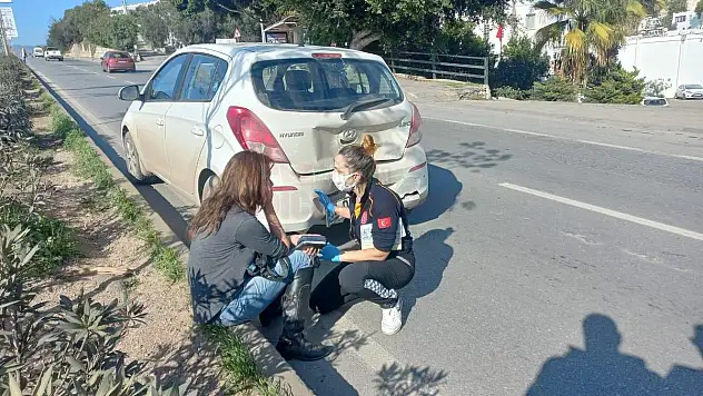 Köpeğe Vurmamak için Yavaşlayınca Arkadan Gelen Araç Çarptı