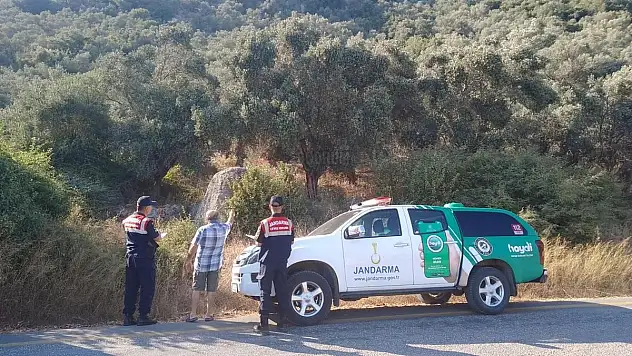Köpeği Ağaca Asarak Öldüren Şahıs Yakalandı