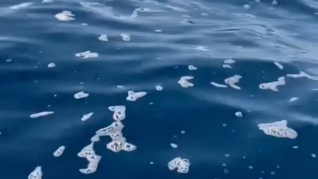 Köpükleşmiş deniz tepki çekti ! Bu kriz ne zaman son bulacak !?