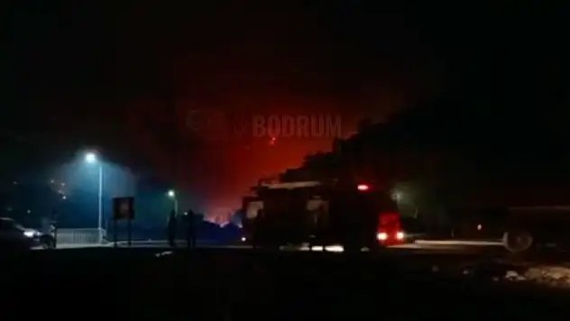 Korkulan Oldu Yangın Kemerköy Termik Santrali'ne Sıçradı