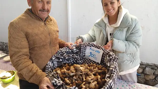 KÖYLÜLER TOPLUYOR 1000 TL'DEN ALICI BULUYOR