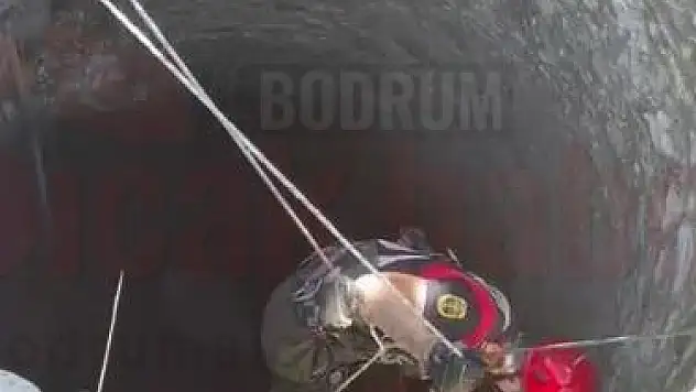 Kuyuya Düşen Buzağı'yı İtfaiye Kurtardı