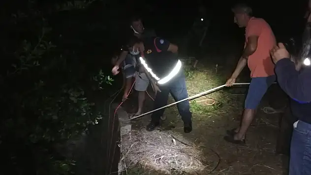 Kuyuya düşen inek itfaiye ekiplerince kurtarıldı