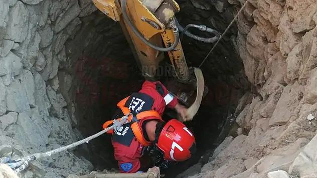 Kuyuya düşen inek itfaiye ekiplerince kurtarıldı