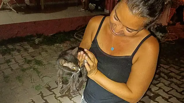 Kuyuya Düşen Kedi Ekiplerce Kurtarıldı