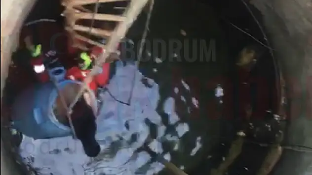 Kuyuya Düşen Kedi Ekiplerce Kurtarıldı