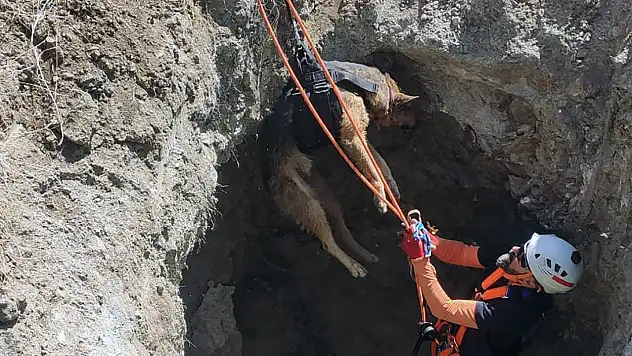 Kuyuya düşen köpek MAG-AME ekibince kurtarıldı !