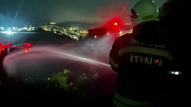 Makilik Alanda Başladı Ormana Sıçradı