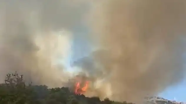 Makilik Alanda Yangın Paniği!