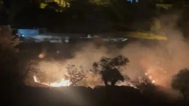 Makilik ve zeytinlik alanda yangın !