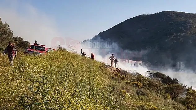 Makilik Yangını Ormana Sıçramadan Söndürüldü