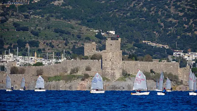 Mandalin kupası bodrum denizlerini şenlendirdi
