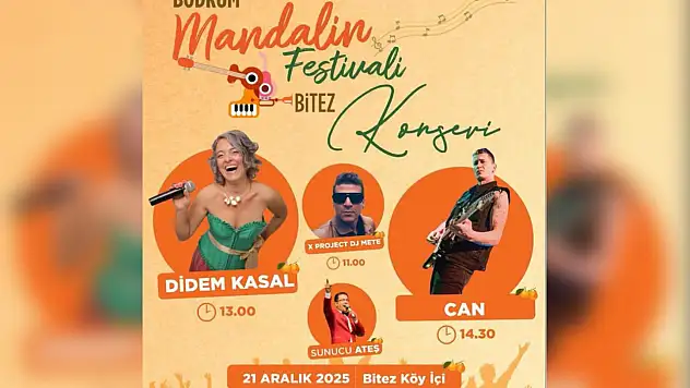 Mandalina Festivali Başlıyor