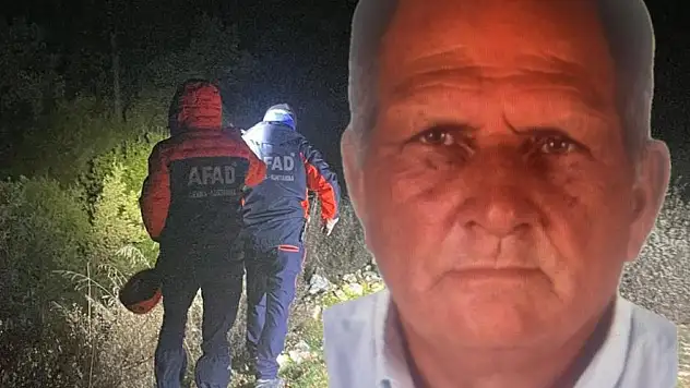 Mantar ararken kaybolan 70 yaşındaki adamı arama çalışmaları sürüyor