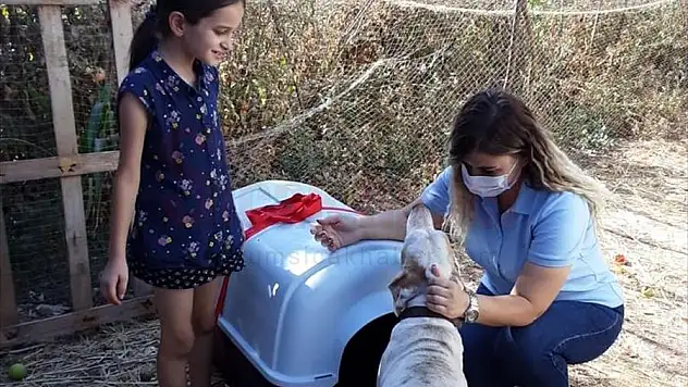 Marmaris'teki yangında köpeğinin kulübesi yanan çocuğun dileğini Kaymakamlık gerçekleştirdi