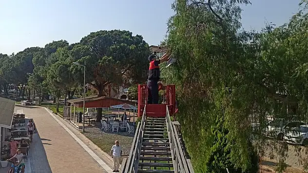 Martıyı Kurtarıp Doğaya Bıraktılar