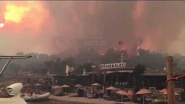 Mazı ve Çökertme Tamamen Yandı