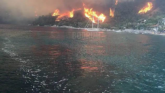 Mazı Yardım Bekliyor