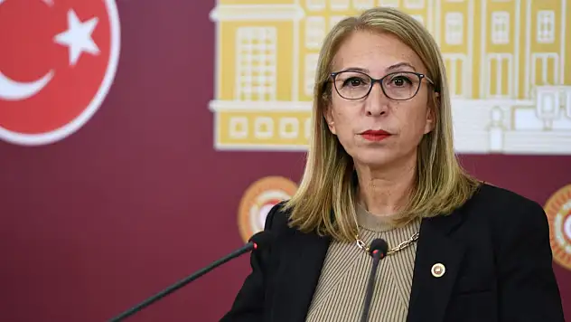 Meclis'e çağrı: Gençlerin sesi duyulsun artık