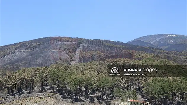 Menteşe'deki orman yangınlarından çoğu etkin mücadeleyle kontrol altına alındı
