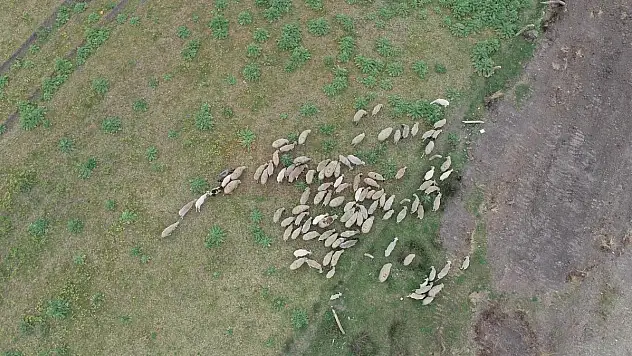 Meralarda  Islah Çalışmaları Devam Ediyor