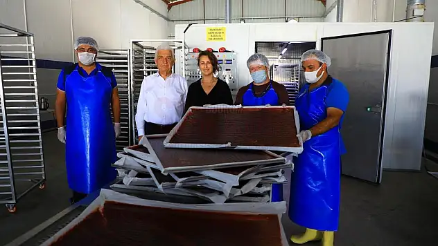 Meyve Sebze Kurutma Tesisi ile Üretime Destek Veriliyor