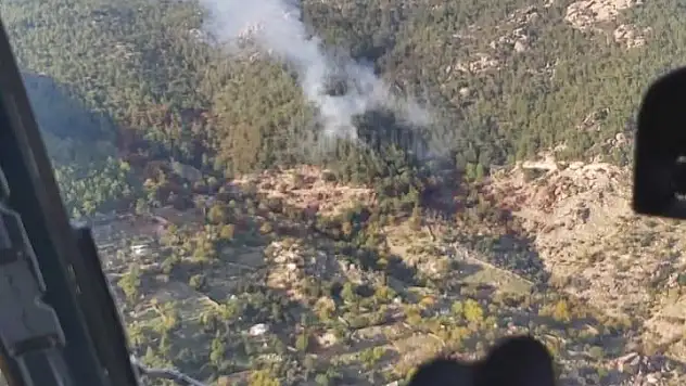 Milas' da Orman Yangını Çıktı!