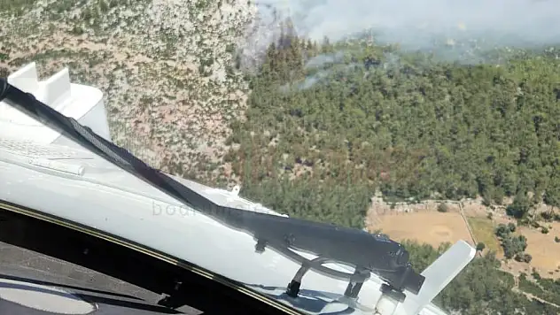 Milas Demirciler Mahallesinde Ormanlık Yangın Başladı