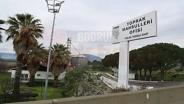 Milas ilçesindeki TMO tesislerinin kiraya verilmesi