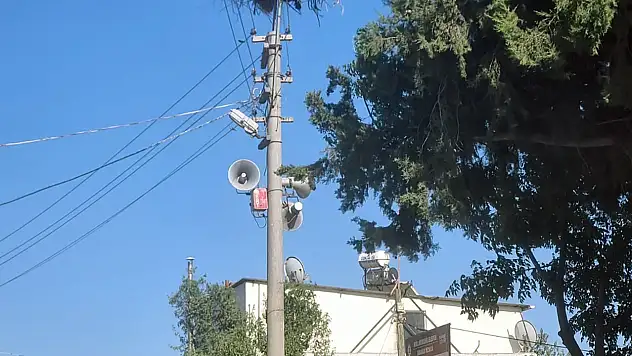 Milas'ta elektrik direkleri yerine leyleklere güvenli yaşam alanı